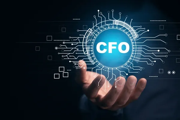 Virtual CFO Services